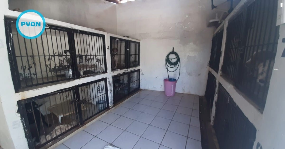 Puerto Vallarta animal shelter