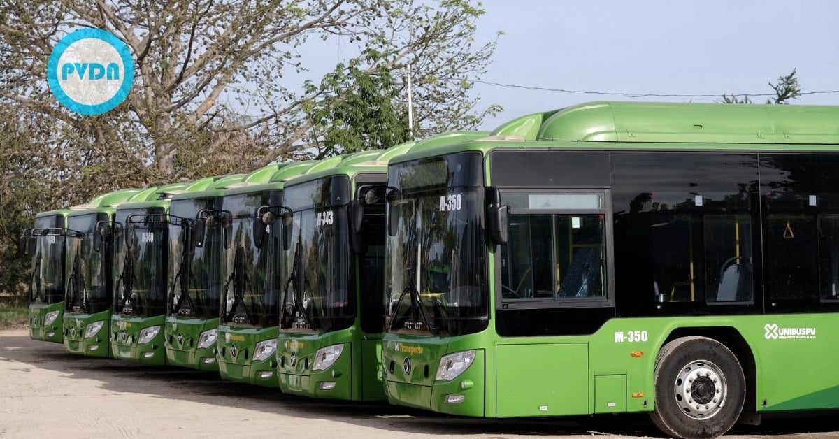Puerto Vallarta electric buses