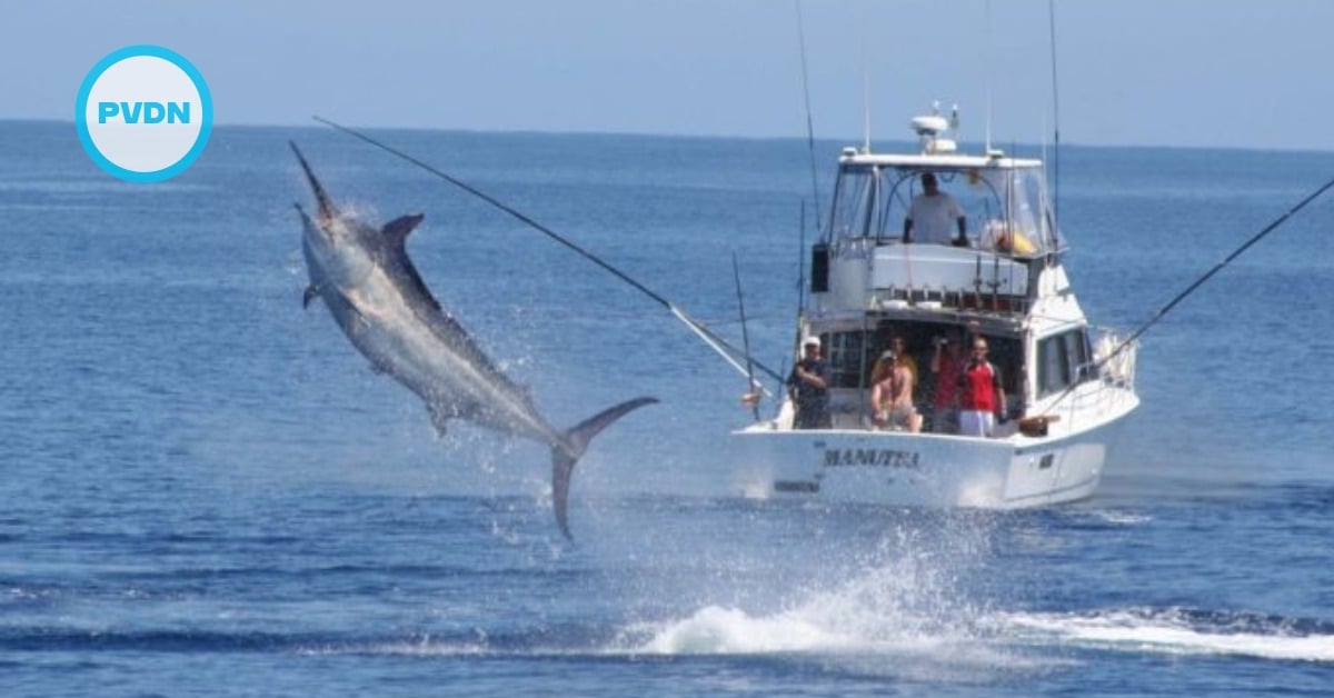 Puerto Vallarta fishing tournament