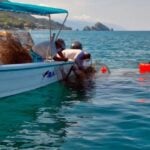 Puerto Vallarta ghost nets