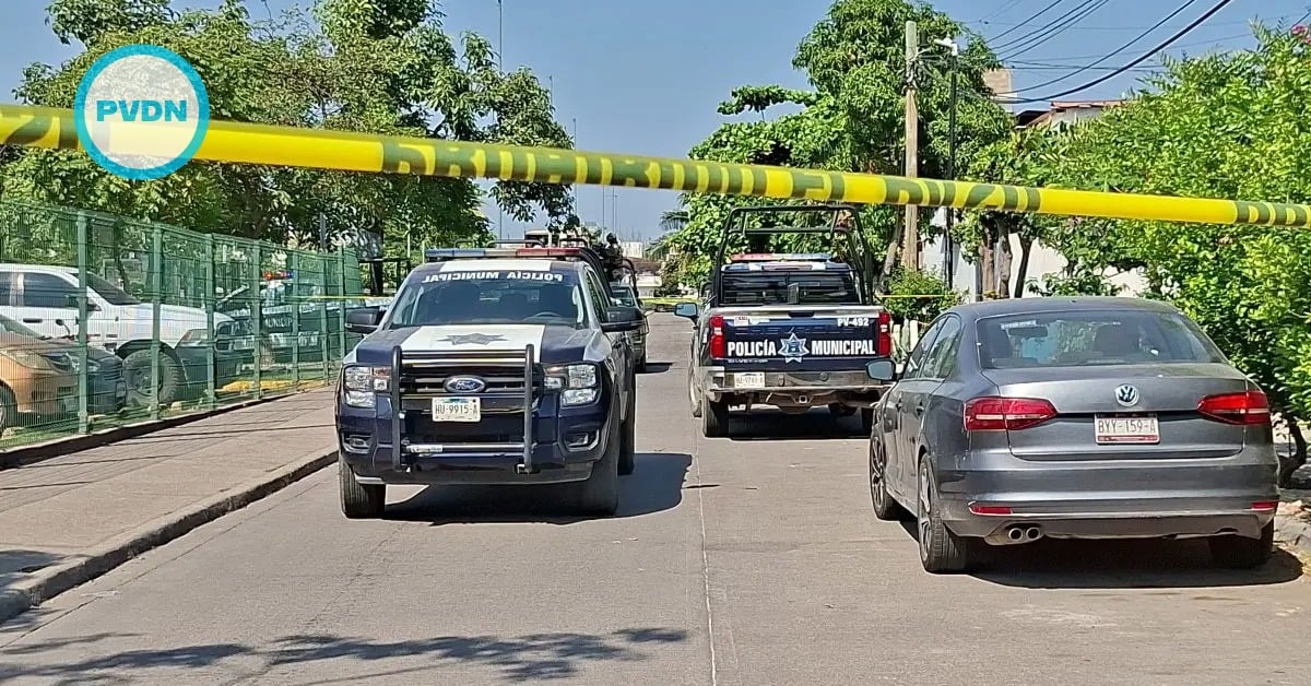 Puerto Vallarta security operation