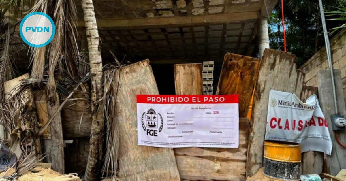 Quintana Roo illegal logging