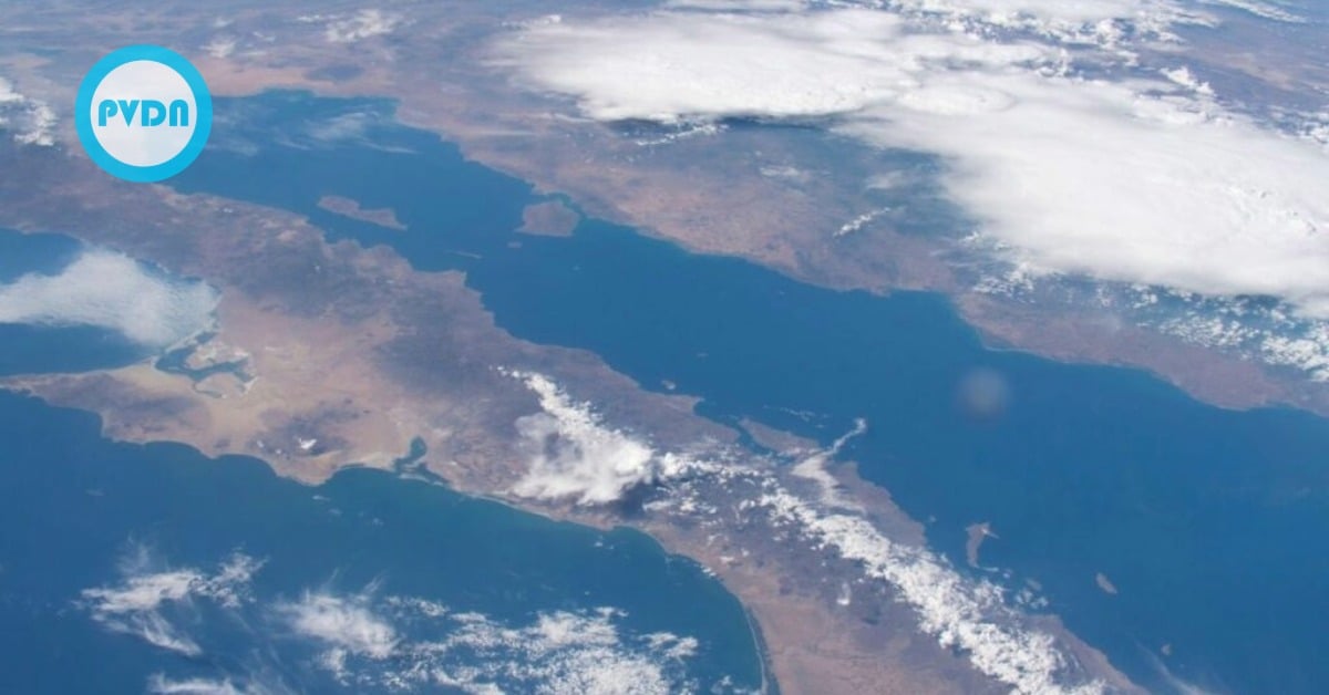 Sea of Cortez Forum