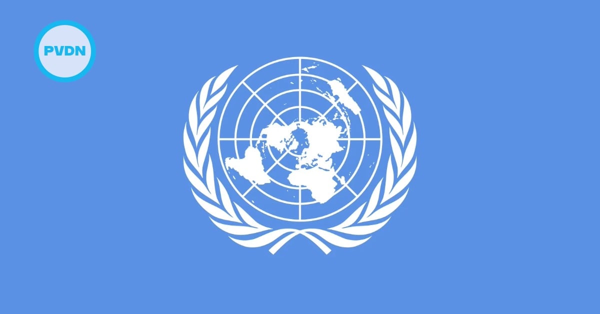 UN disappearances review