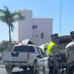 Uber puerto vallarta airport pickups