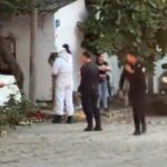 Puerto Vallarta bee attack