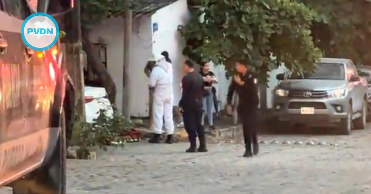 Puerto Vallarta bee attack