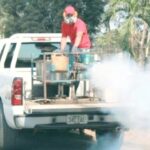 puerto vallarta dengue