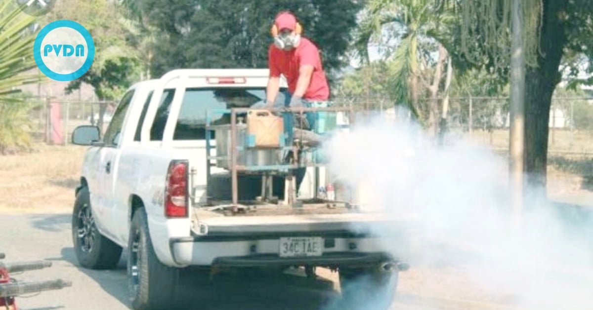 puerto vallarta dengue