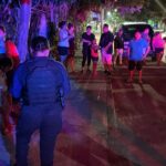 dog killed in Cancún