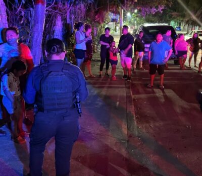 Outrage after dog killed in Cancún as neighbors stop suspect dog killed in Cancún