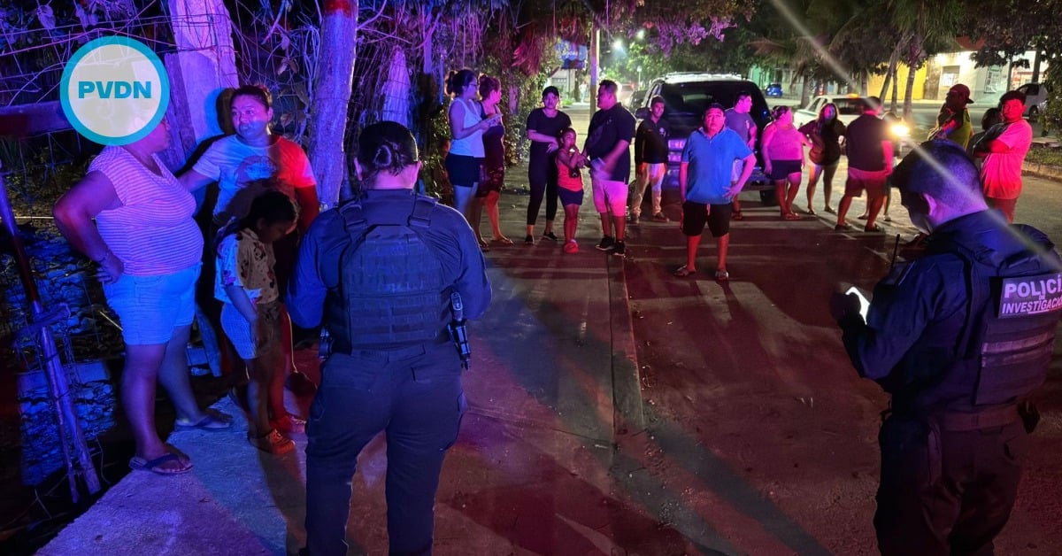 dog killed in Cancún