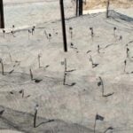 Boca de Tomates turtle