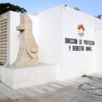 Cancun Animal Protection