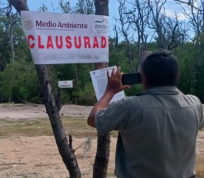 Cancun hotel inspections