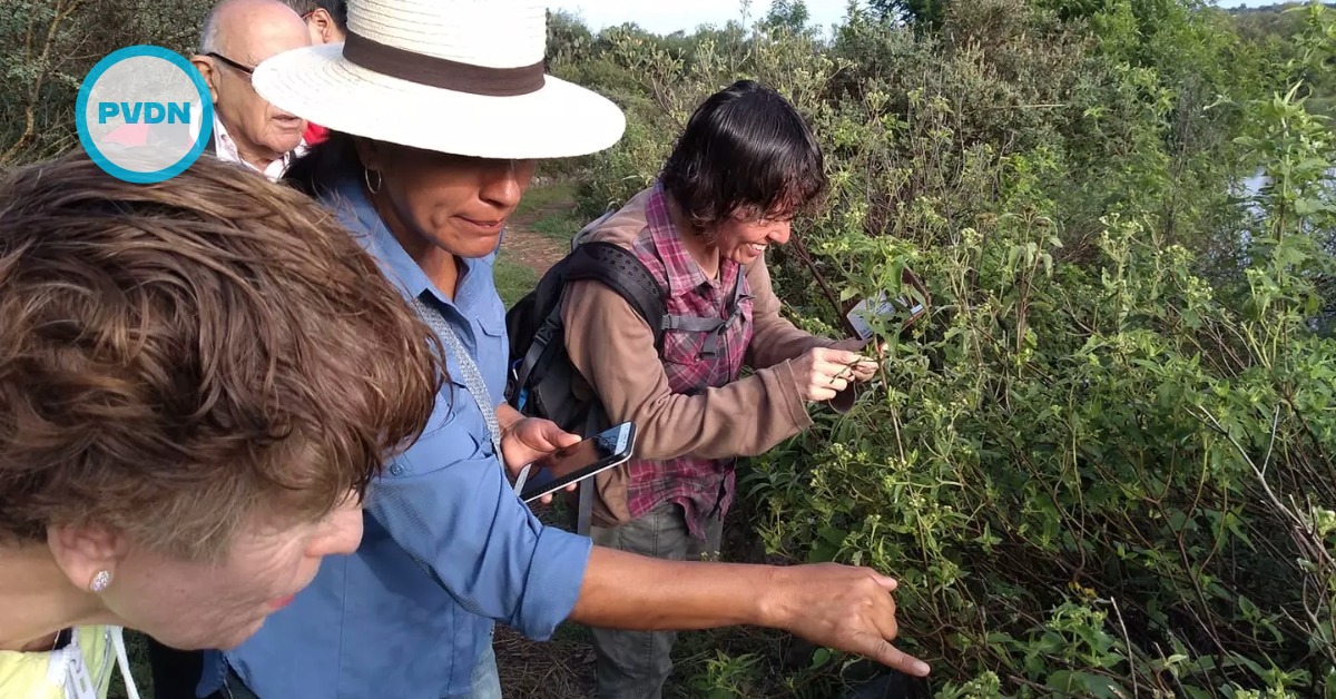 El Charco del Ingenio in San Miguel