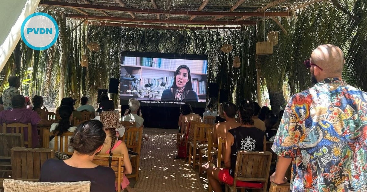 Festival de Cine Consciente