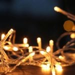 Los Cabos tree lighting