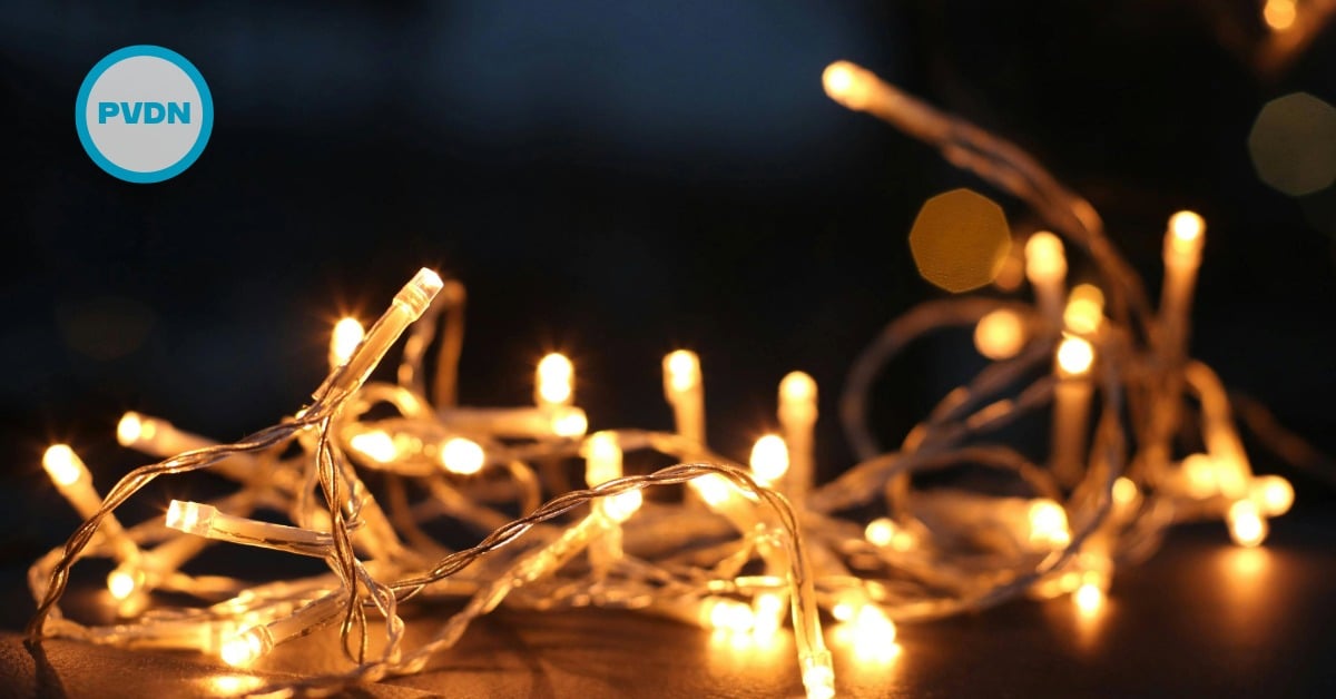 Los Cabos tree lighting