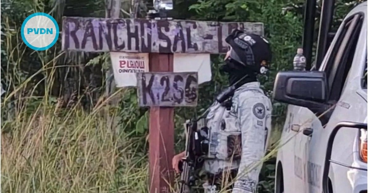 Puerto Morelos clandestine grave