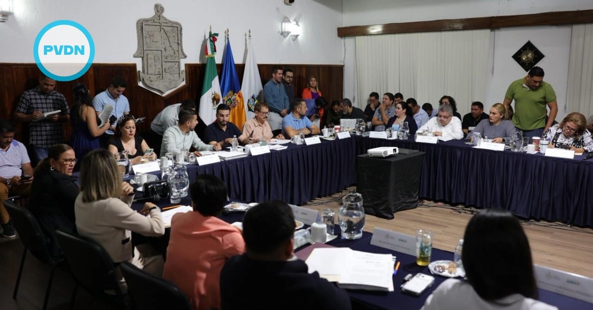 Puerto Vallarta Arandas sister