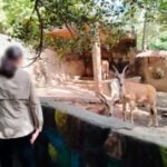 Vallarta Zoo inspection
