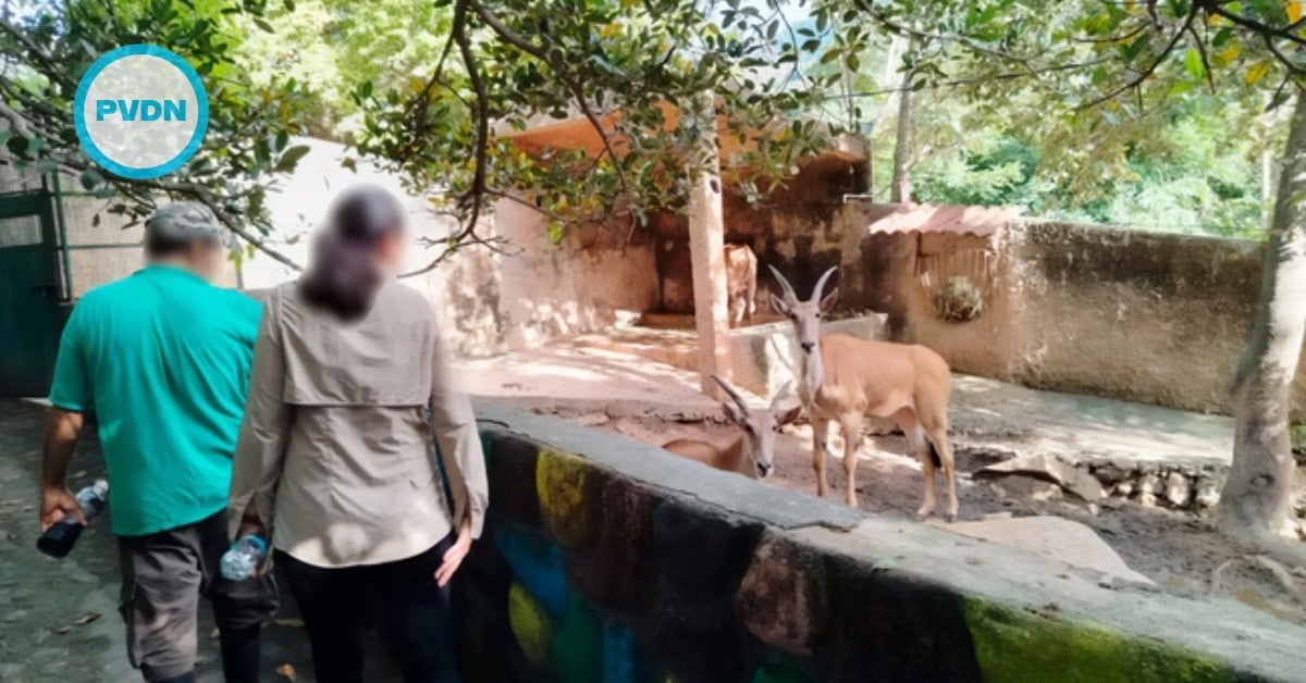 Vallarta Zoo inspection