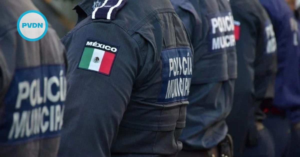 puerto vallarta security