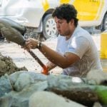 SEAPAL Vallarta water