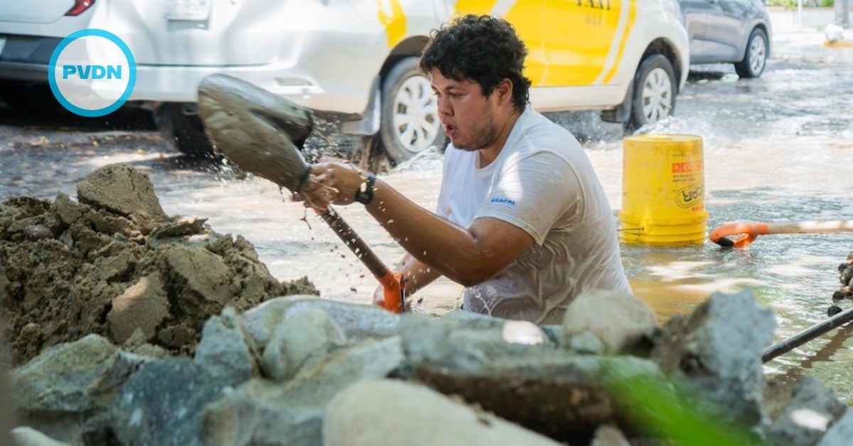 SEAPAL Vallarta water