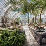 San Miguel in 24 hours