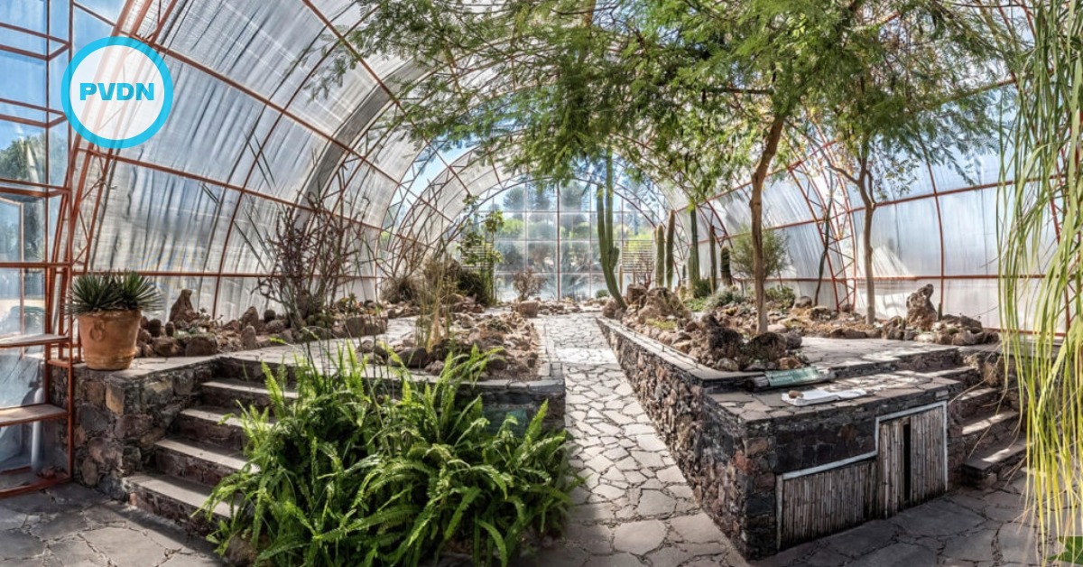 San Miguel in 24 hours