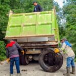 Tulum mosquito cleanup