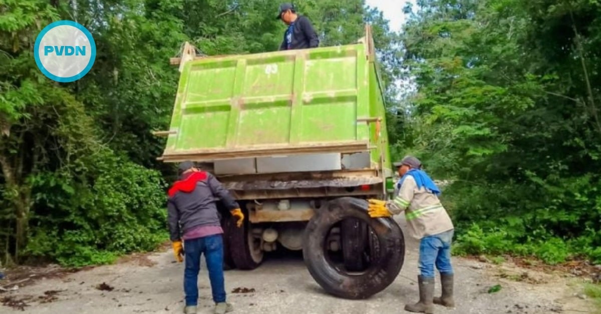 Tulum mosquito cleanup