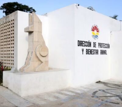 animal cruelty cases