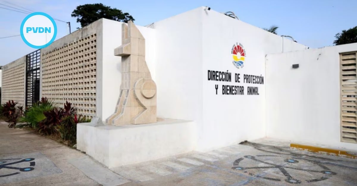 animal cruelty cases