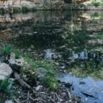 illegal housing lots