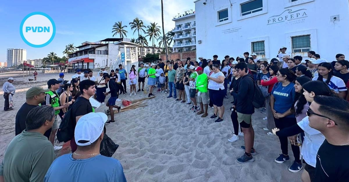 playa camarones cleanup