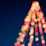 puerto vallarta christmas tree