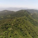 Cerro de los Picachos