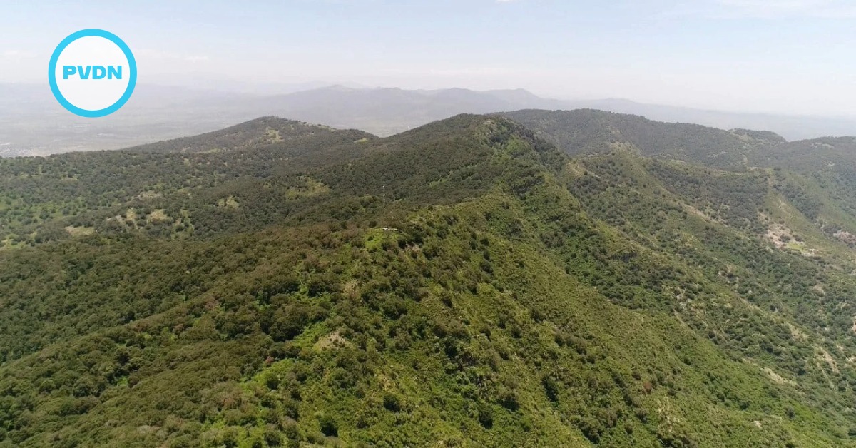 Cerro de los Picachos