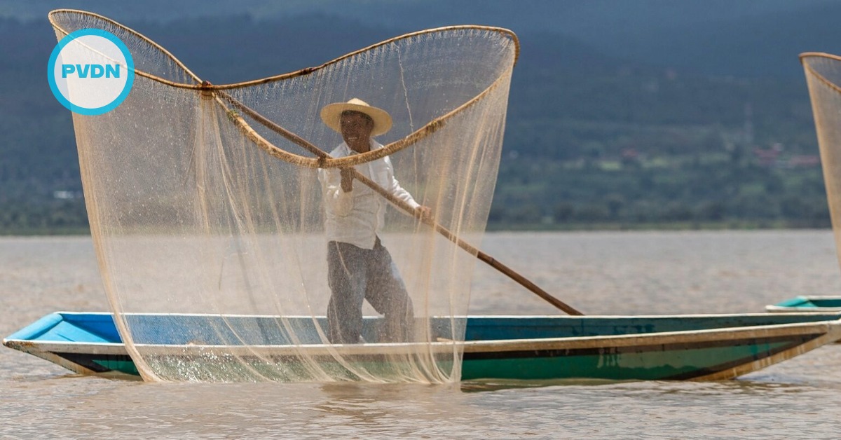 Lake Patzcuaro fish