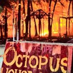 Mahahual palapa fire