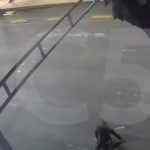 Mexico City parachute jumps