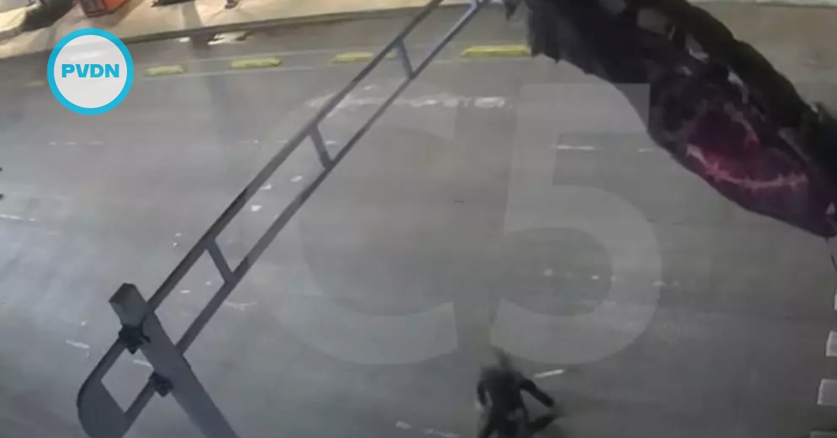 Mexico City parachute jumps