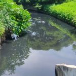 Pitillal River sewage