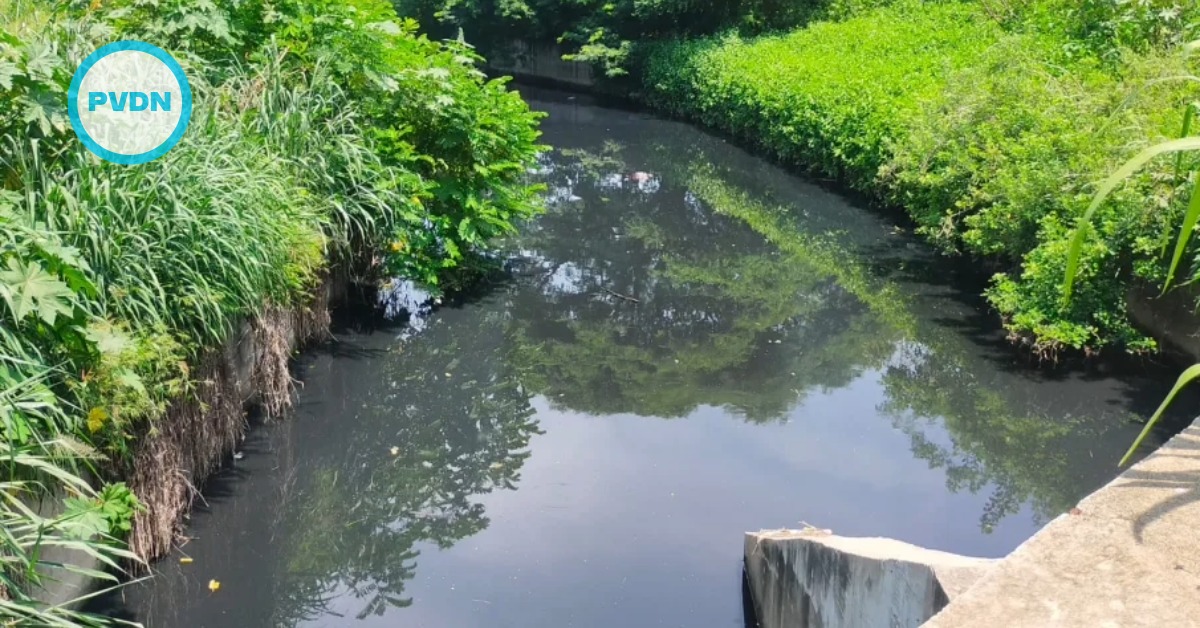 Pitillal River sewage