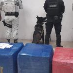 Playa del Carmen drug seizure