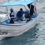 Puerto Vallarta whale collision kills local expat