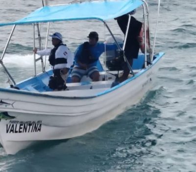 Puerto Vallarta whale collision kills local expat